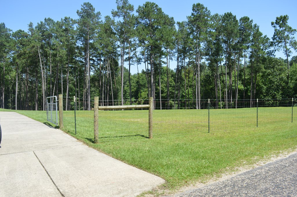 442 Ginntown Road Tylertown, MS 39667 - Photo 4 of 37 Photo 4