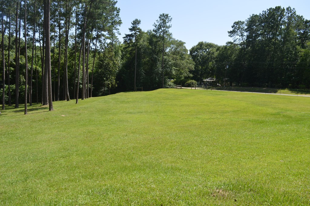442 Ginntown Road Tylertown, MS 39667 - Photo 6 of 37 Photo 6