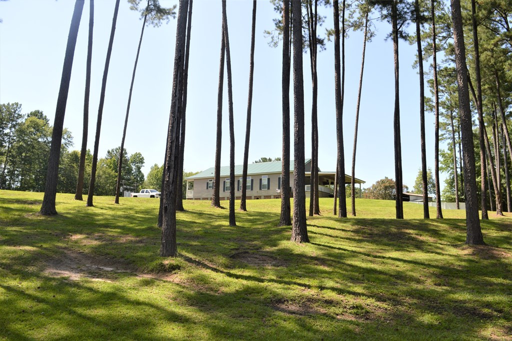 442 Ginntown Road Tylertown, MS 39667 - Photo 10 of 37 Photo 10