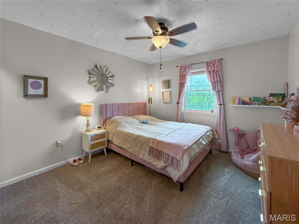 5687 Clear Creek Road Hannibal, MO 63401 - Photo 18 of 49