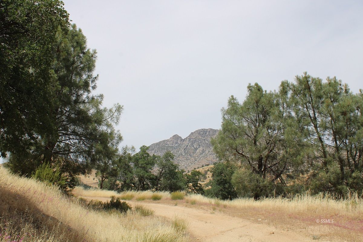 Old State Road Wofford Heights, CA 93285 - Photo 23 of 33 Gallery Image 23