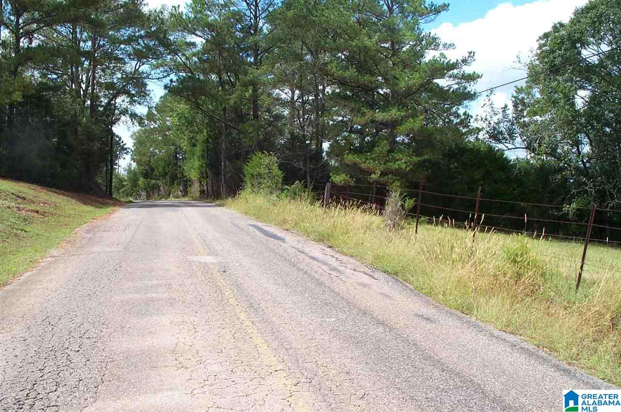 1910 Peaceful Valley Road, Unit 1 Eastaboga, AL 36260 - Photo 9 of 9