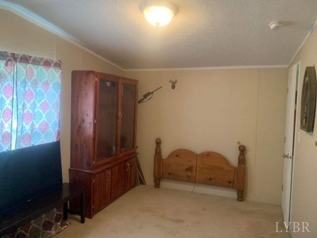 1730 Hermon Road Saxe, VA 23967 - Photo 9 of 23