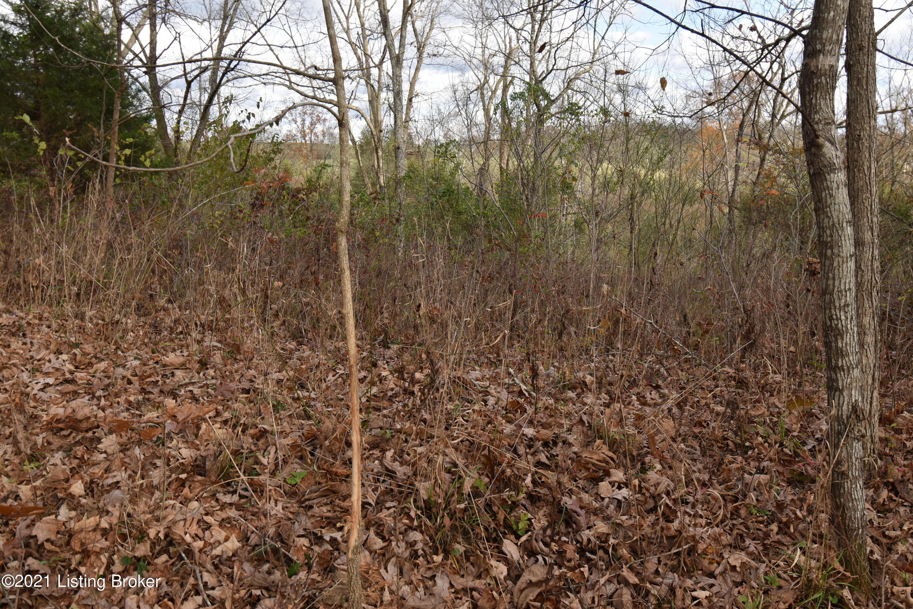 0 Prather Ridge Road Willisburg, KY 40078 - Photo 18 of 20 17
