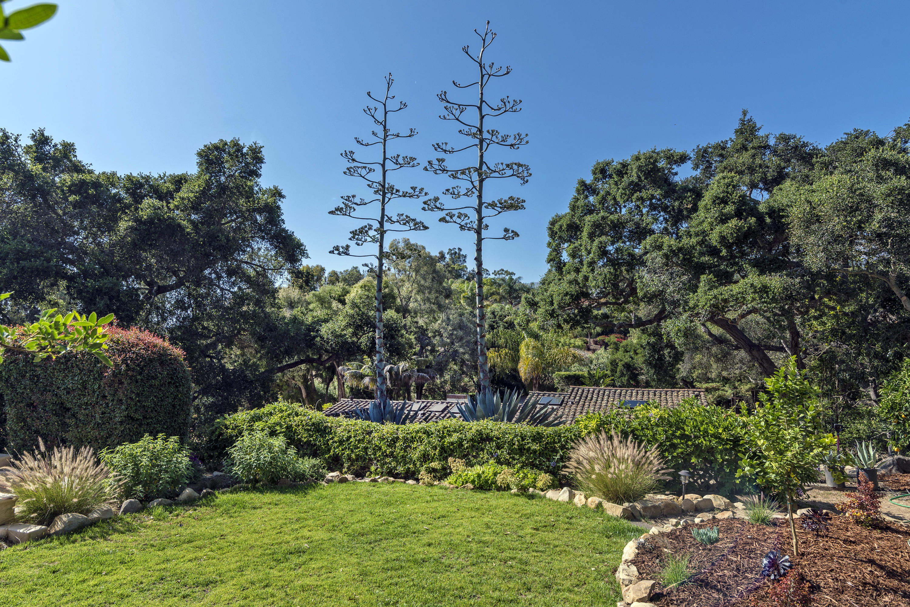 2245 Las Tunas Road Santa Barbara, CA 93103 - Photo 19 of 20 LT19