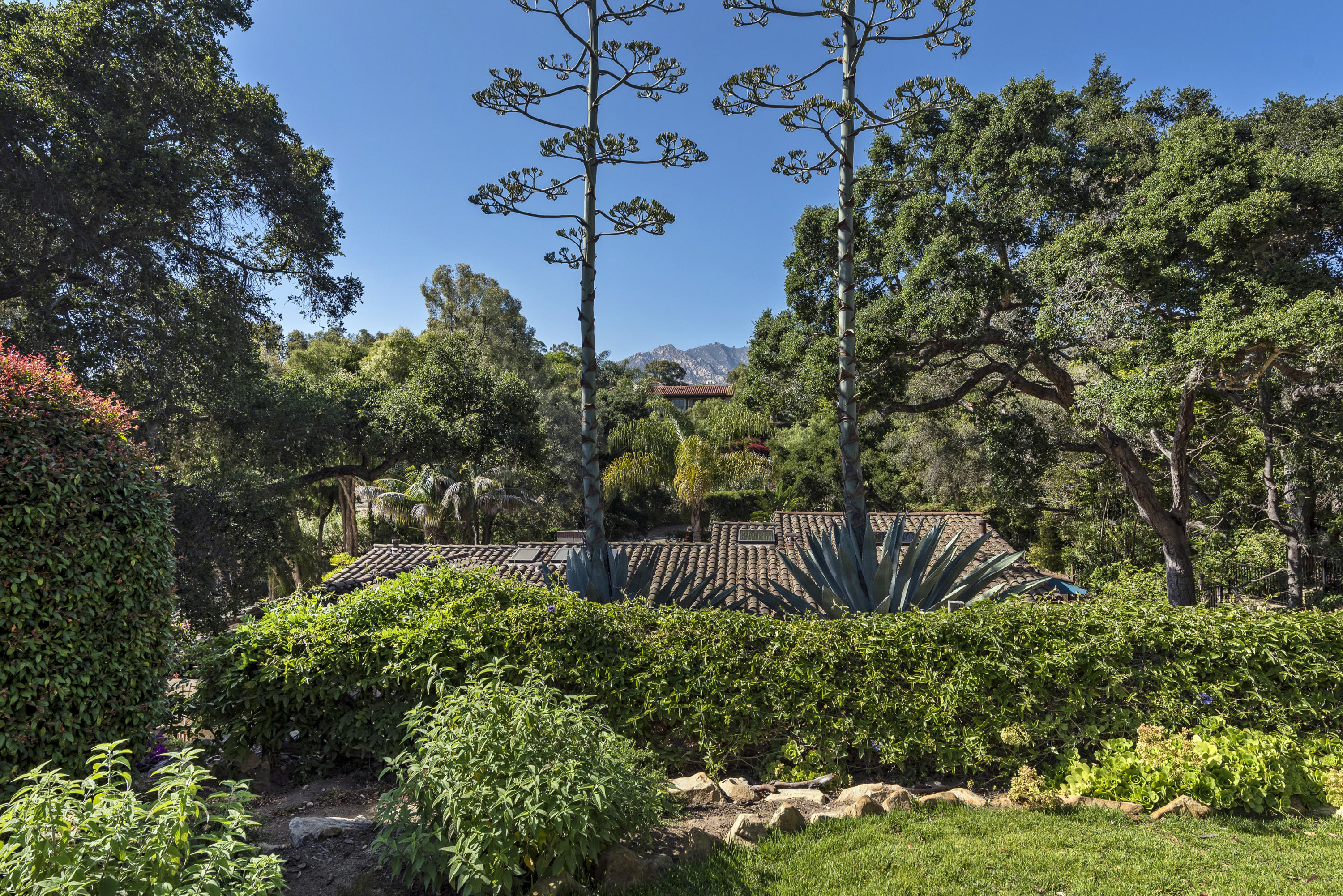 2245 Las Tunas Road Santa Barbara, CA 93103 - Photo 20 of 20 LT20