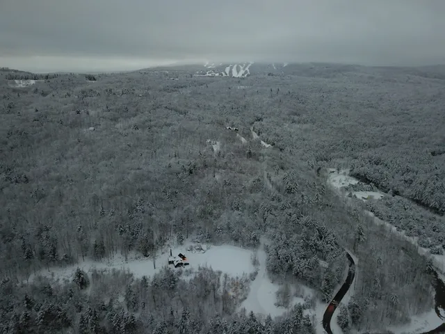 $1,195,000 | 9 Lower Taylor Hill Road, Winhall, VT 05340