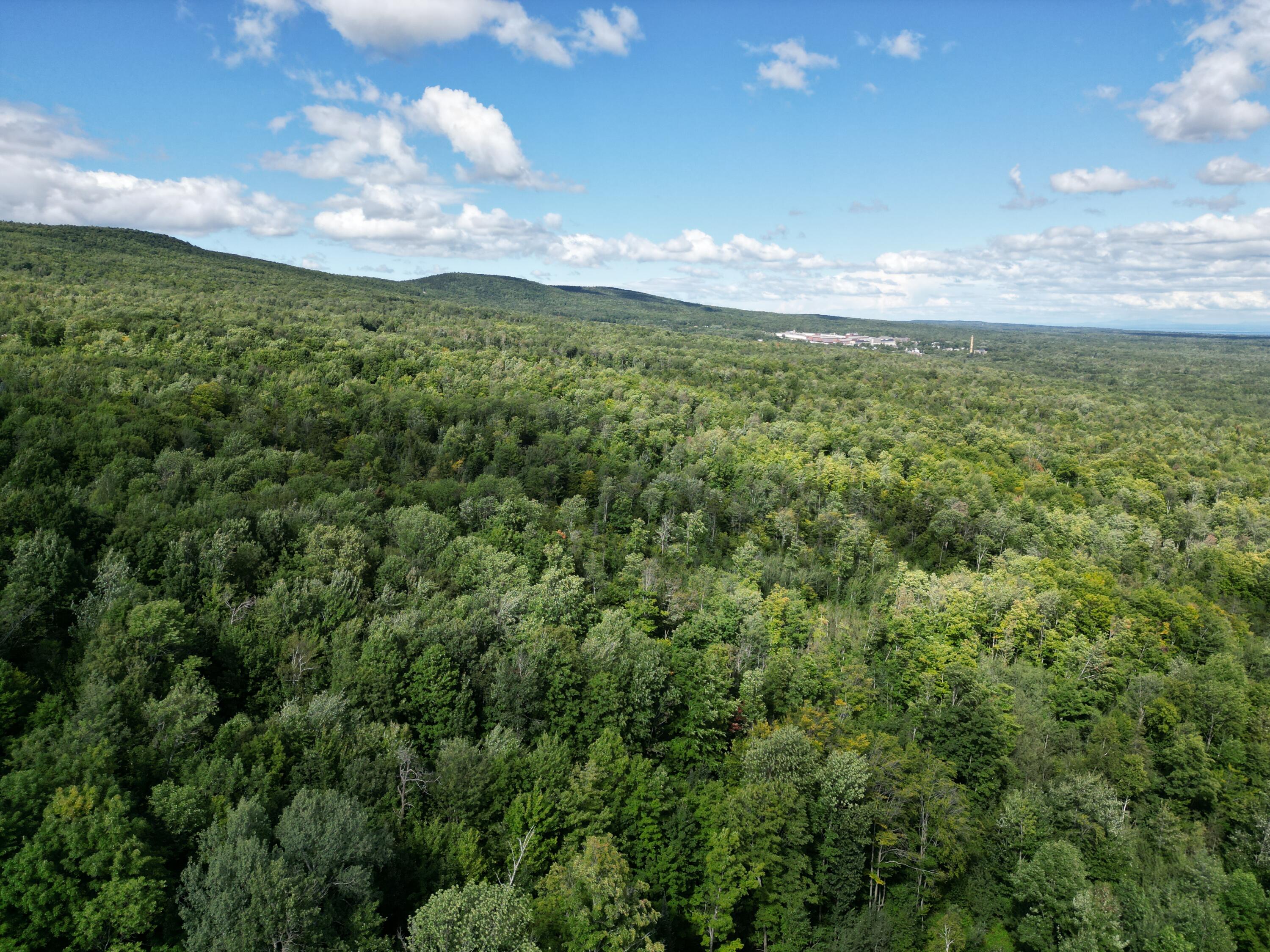 0 Nashville Road Saranac, NY 12981 - Photo 6 of 7
