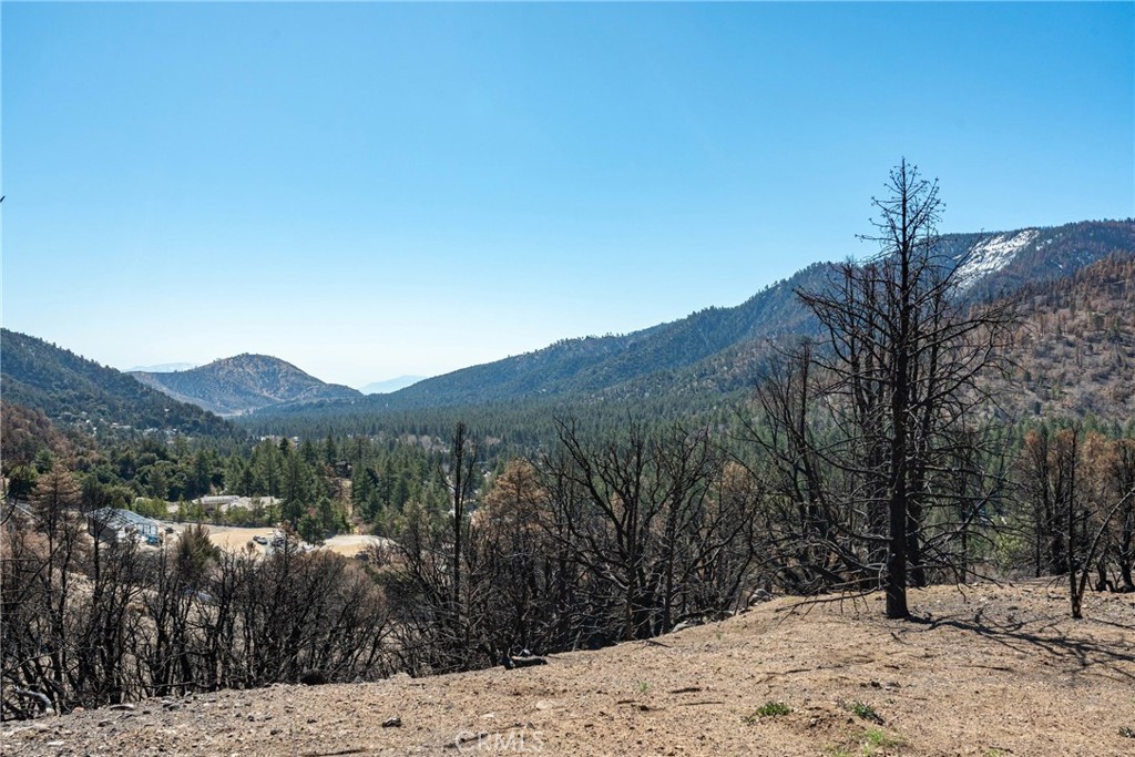 0 North Cardinal Road Wrightwood, CA 92397 - Photo 1 of 1
