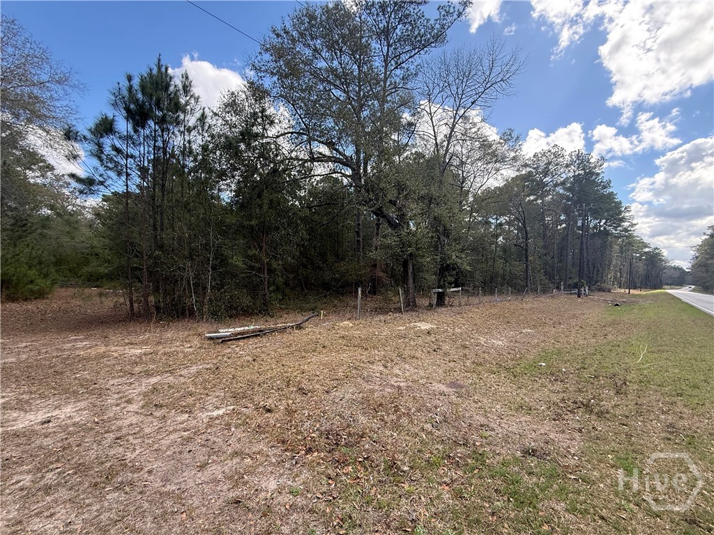 2362 Old Dixie Highway South Springfield, GA 31329 - Photo 1 of 9