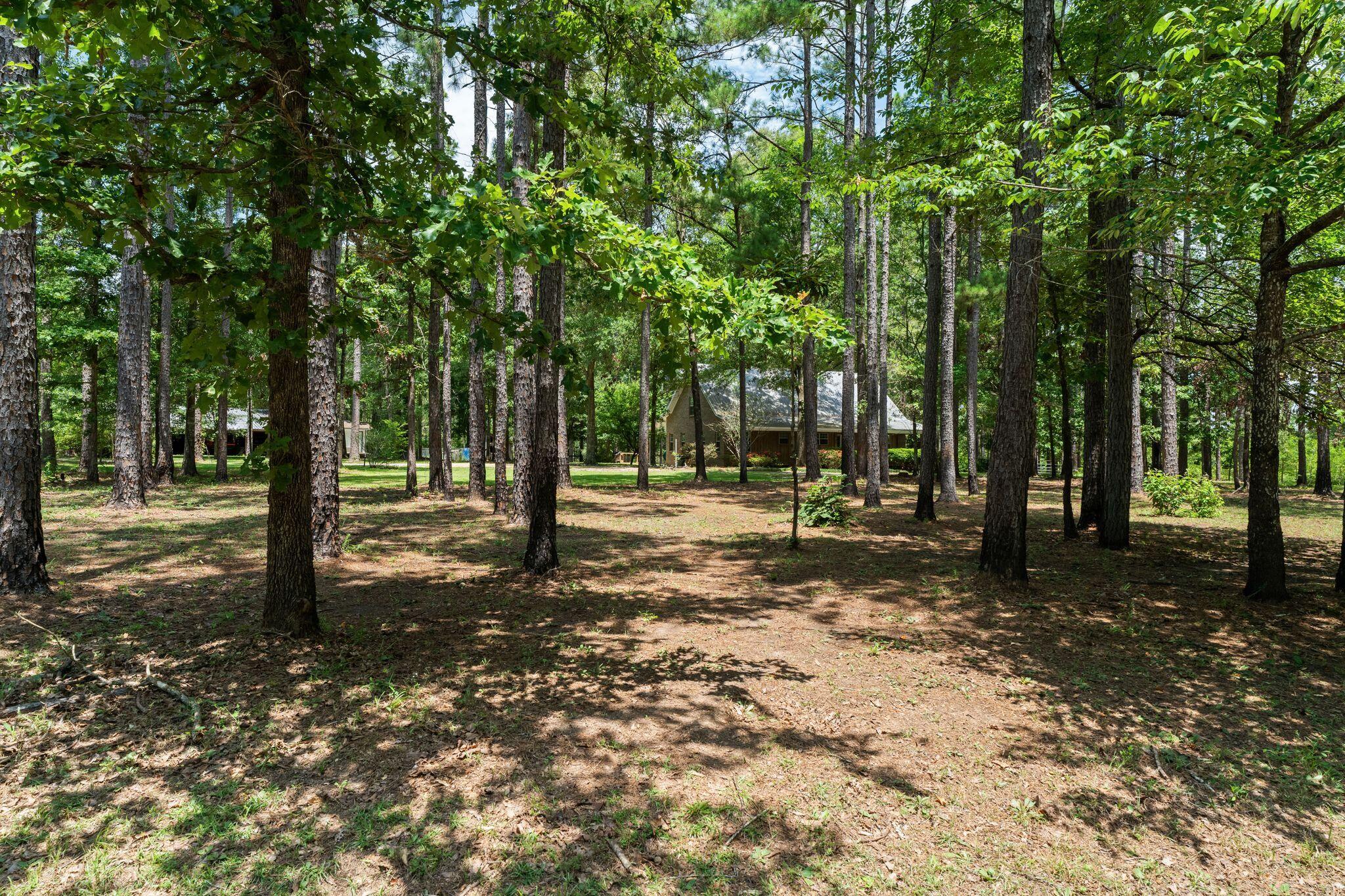 641 Lookout Tower Road Purvis, MS 39475 - Photo 4 of 62 Gallery Image 4