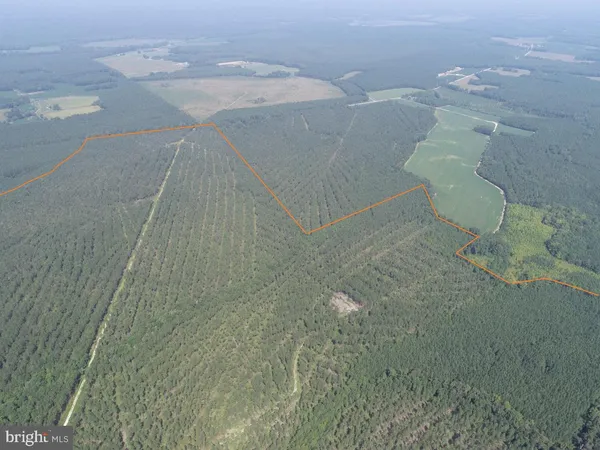 $981,000 | Plank Road, Courtland, VA 23837