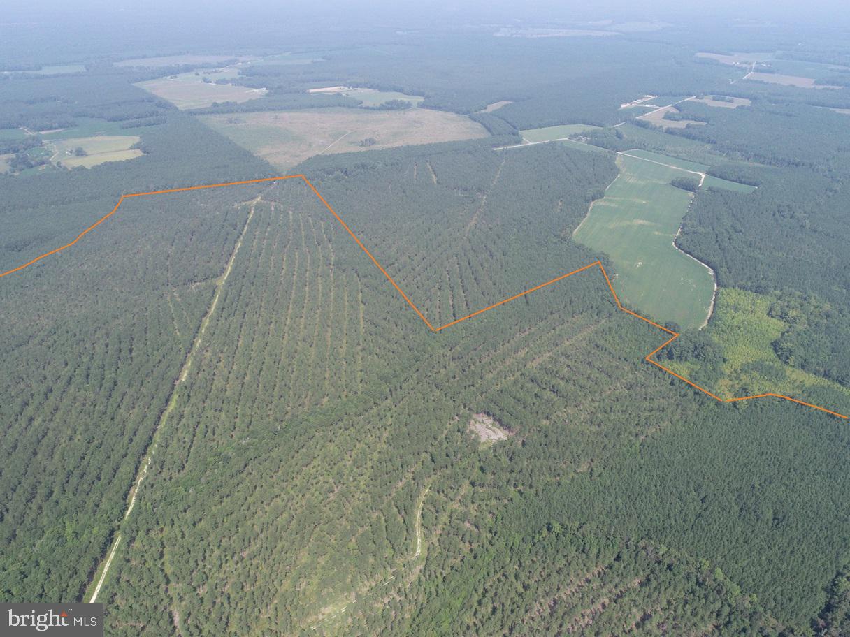 Plank Road Courtland, VA 23837 - Photo 3 of 10