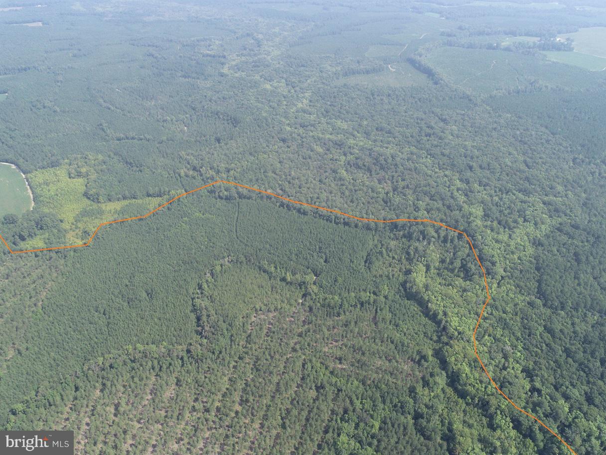 Plank Road Courtland, VA 23837 - Photo 4 of 10