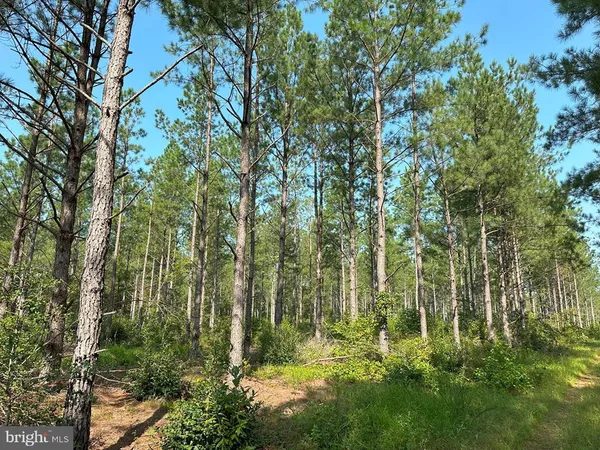 $981,000 | Plank Road, Courtland, VA 23837