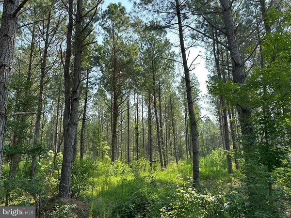 $981,000 | Plank Road, Courtland, VA 23837