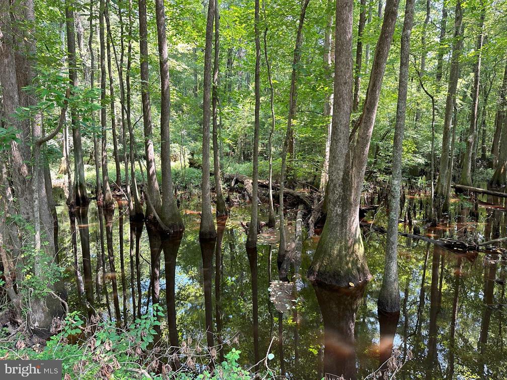 Plank Road Courtland, VA 23837 - Photo 9 of 10