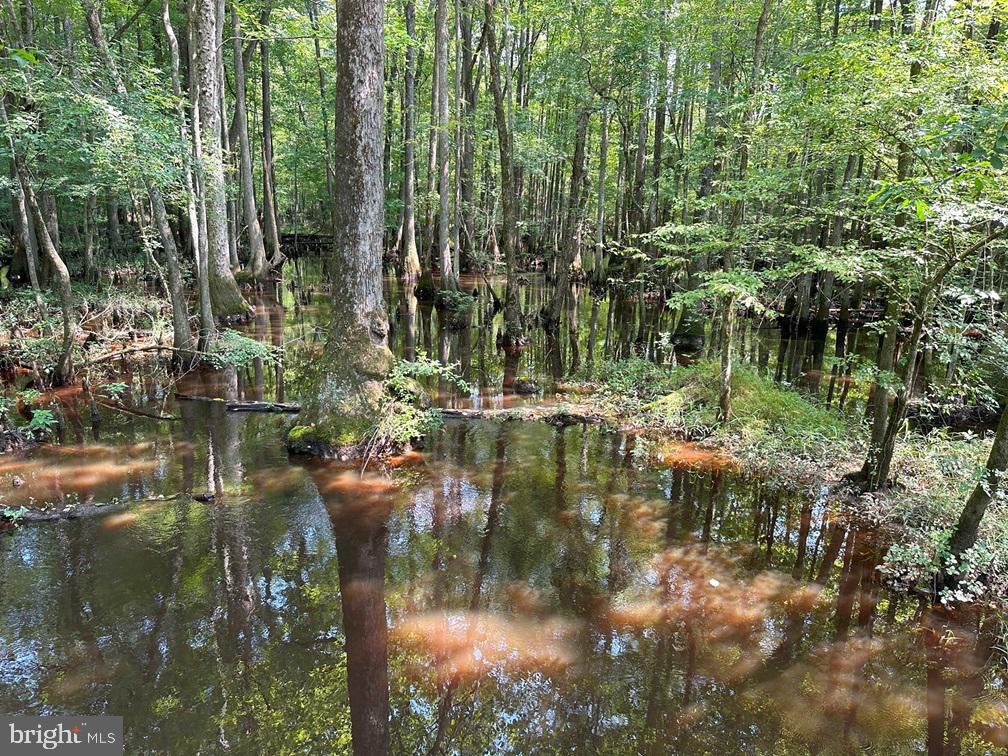 Plank Road Courtland, VA 23837 - Photo 10 of 10