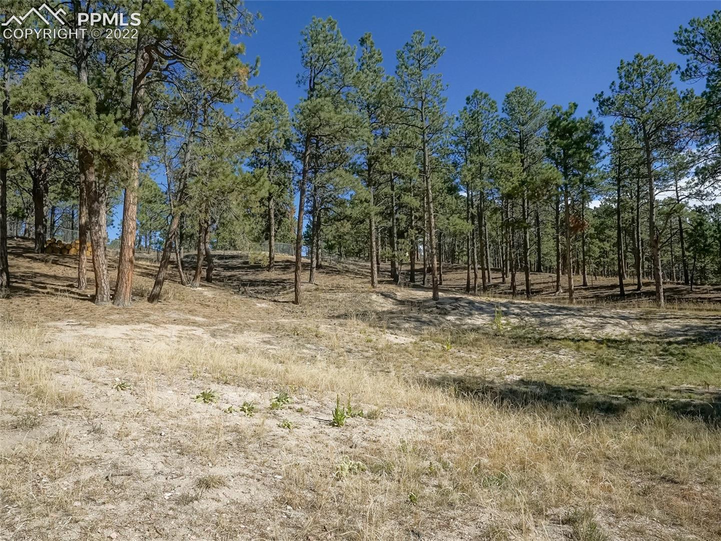 7970 Juniper Road Colorado Springs, CO 80908 - Photo 41 of 43 Backyard