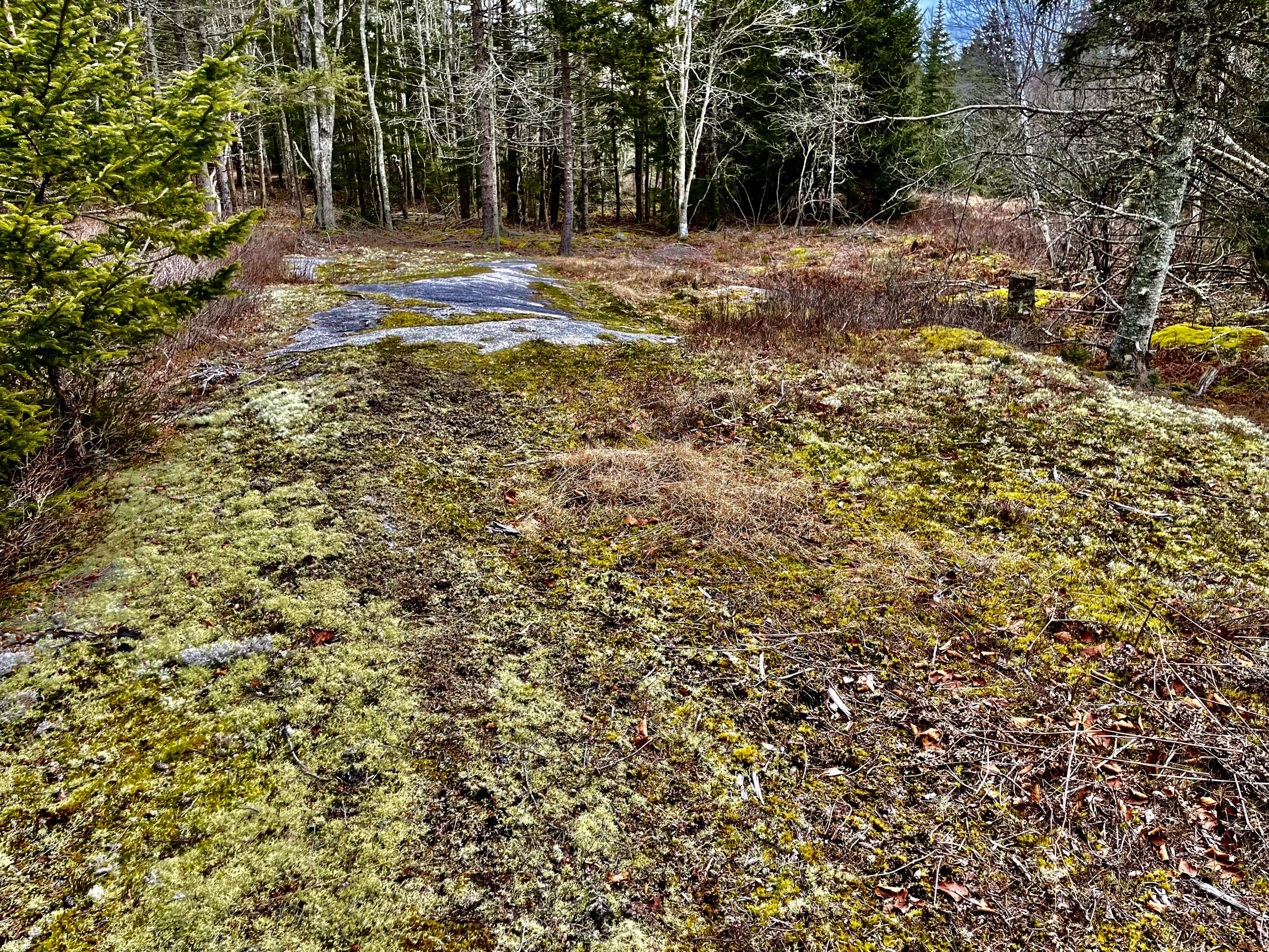 9-21 North Haven Road Vinalhaven, ME 04863 - Photo 12 of 18 Rock Outcrop