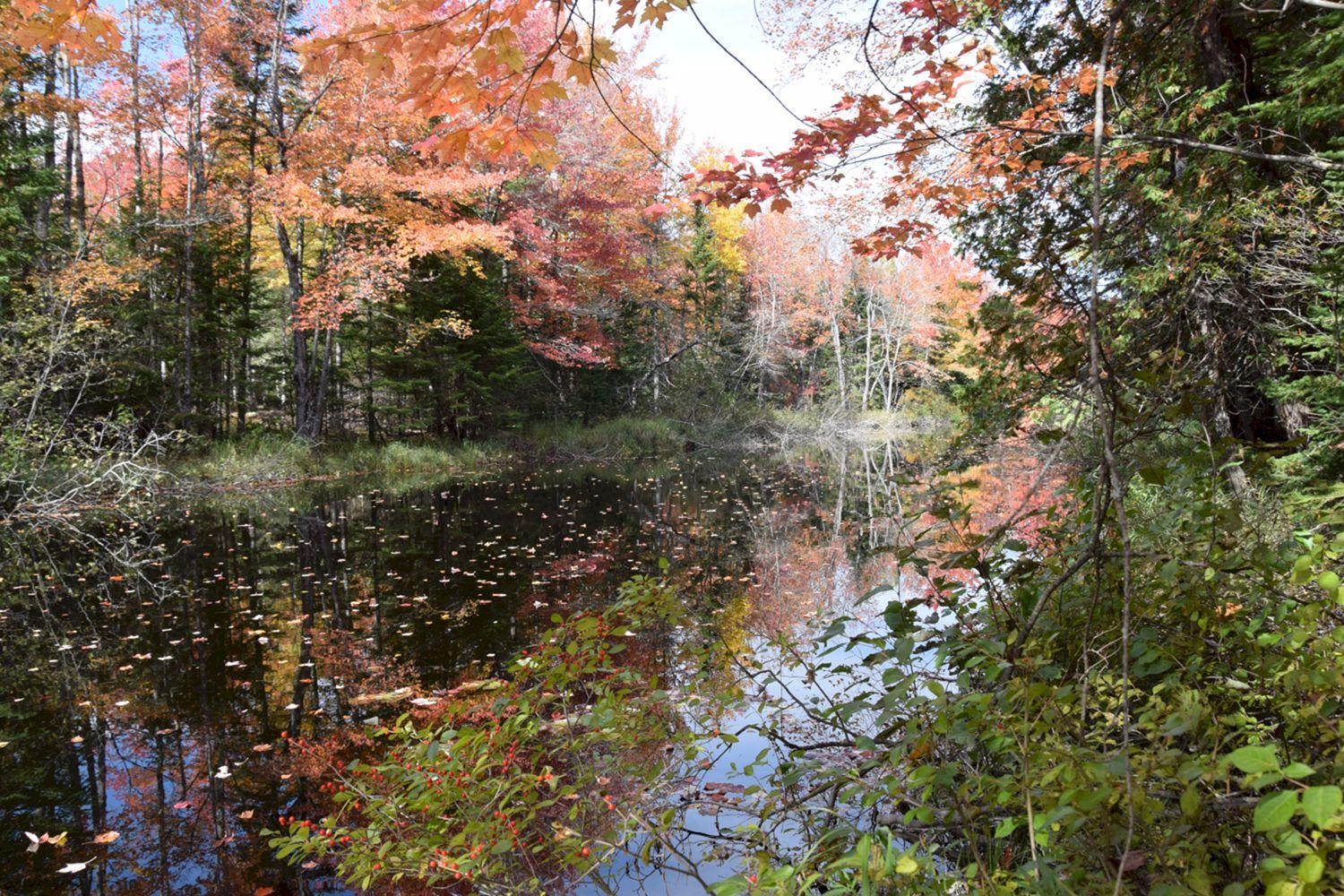 3a Halls Bridge Road Canaan, ME 04924 - Photo 8 of 11 DSC_0008 a