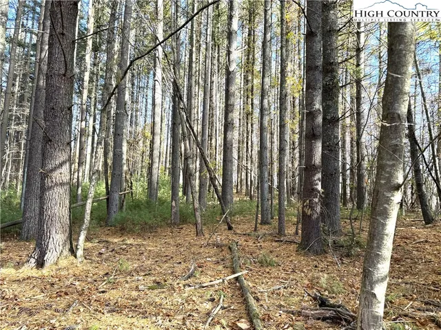 $69,000 | Jr Dairy Road, Ennice, NC 28623