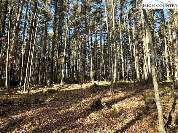 $69,000 | Jr Dairy Road, Ennice, NC 28623