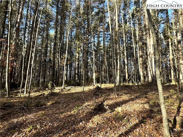 $69,000 | Jr Dairy Road, Ennice, NC 28623