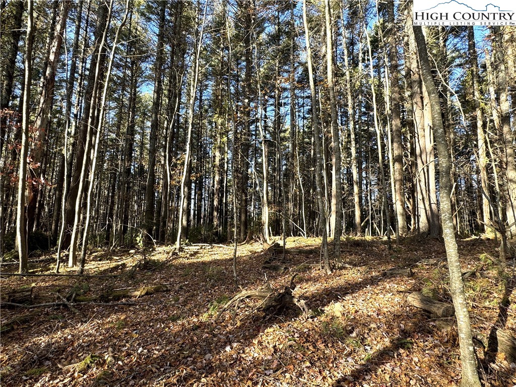 Jr Dairy Road Ennice, NC 28623 - Photo 11 of 22