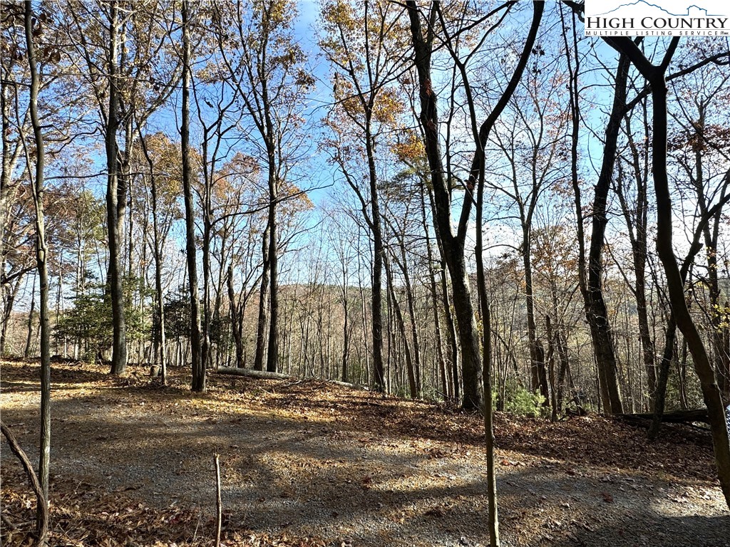 Jr Dairy Road Ennice, NC 28623 - Photo 12 of 22