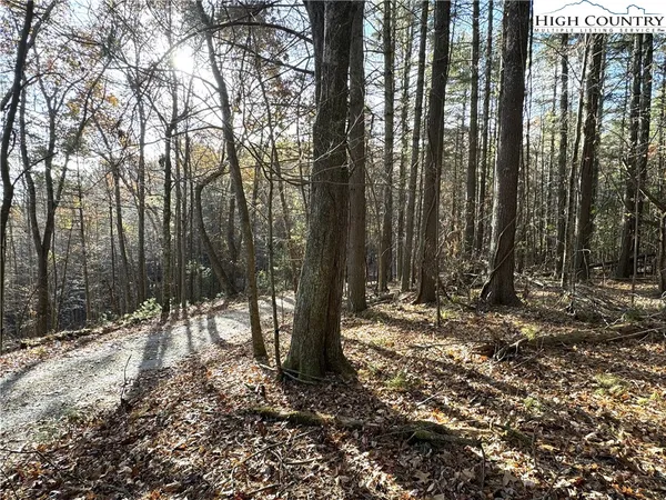 $69,000 | Jr Dairy Road, Ennice, NC 28623