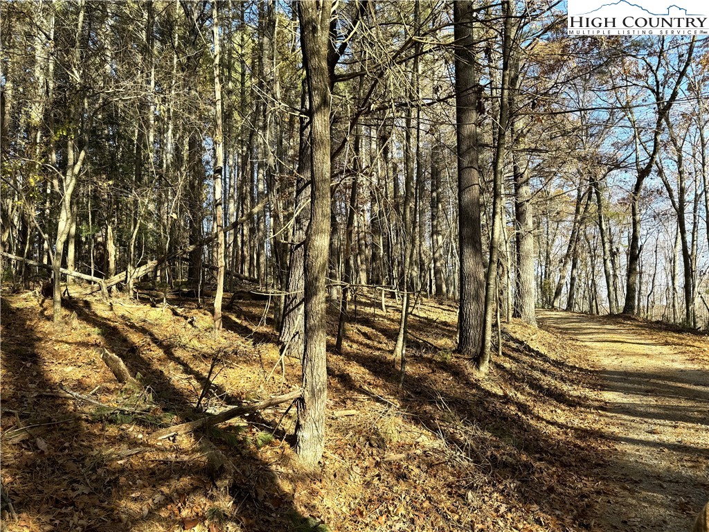 Jr Dairy Road Ennice, NC 28623 - Photo 15 of 22