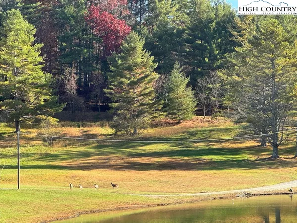 $69,000 | Jr Dairy Road, Ennice, NC 28623