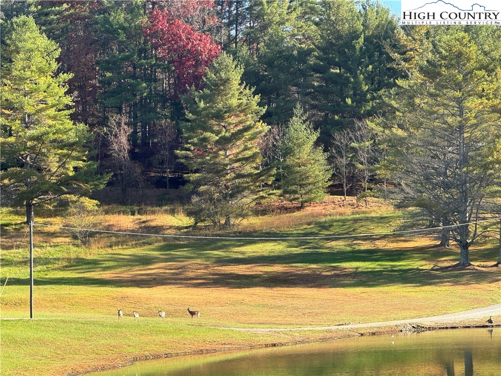 Jr Dairy Road Ennice, NC 28623 - Photo 16 of 22