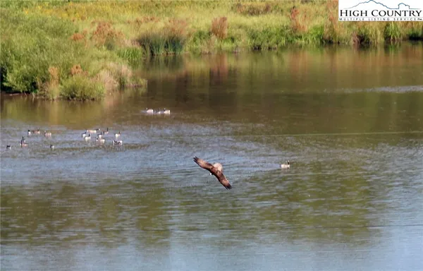 $69,000 | Jr Dairy Road, Ennice, NC 28623