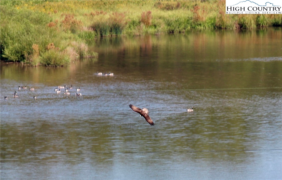 Jr Dairy Road Ennice, NC 28623 - Photo 20 of 22