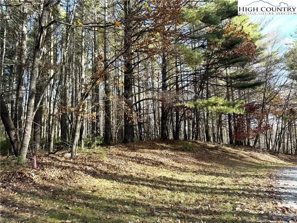 $69,000 | Jr Dairy Road, Ennice, NC 28623