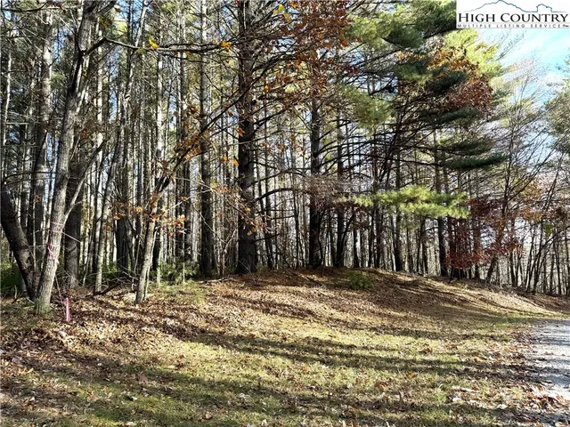 $69,000 | Jr Dairy Road, Ennice, NC 28623