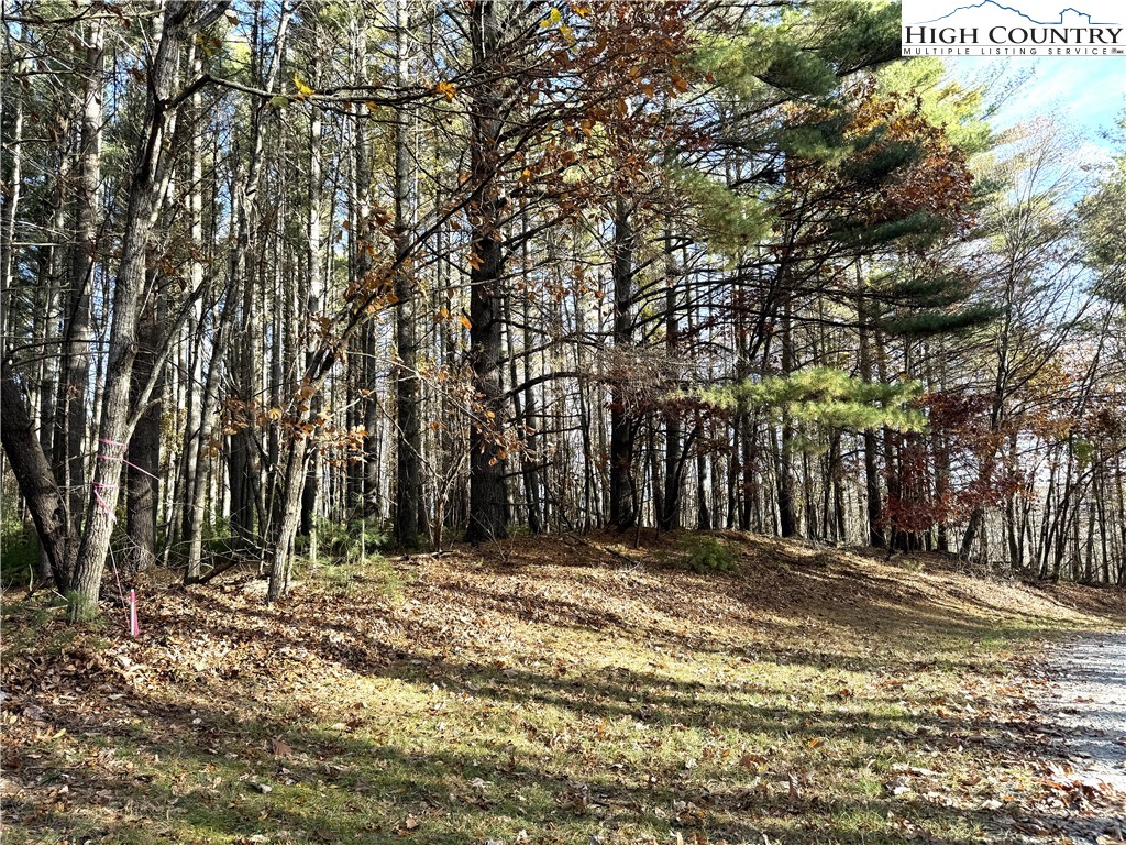 Jr Dairy Road Ennice, NC 28623 - Photo 2 of 22