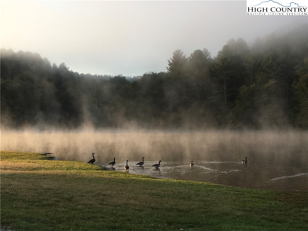 Jr Dairy Road Ennice, NC 28623 - Photo 21 of 22