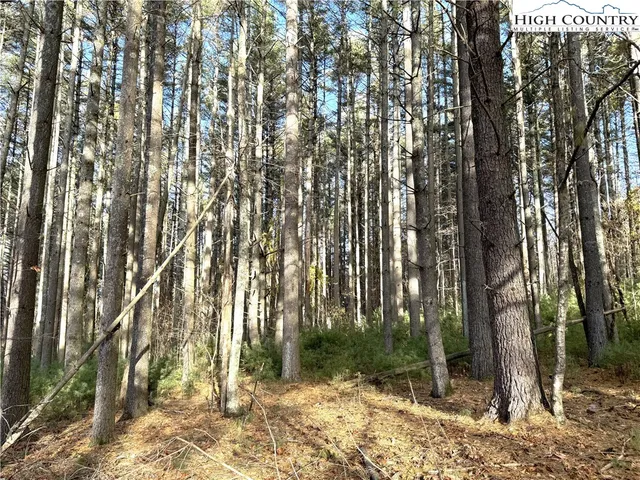 $69,000 | Jr Dairy Road, Ennice, NC 28623