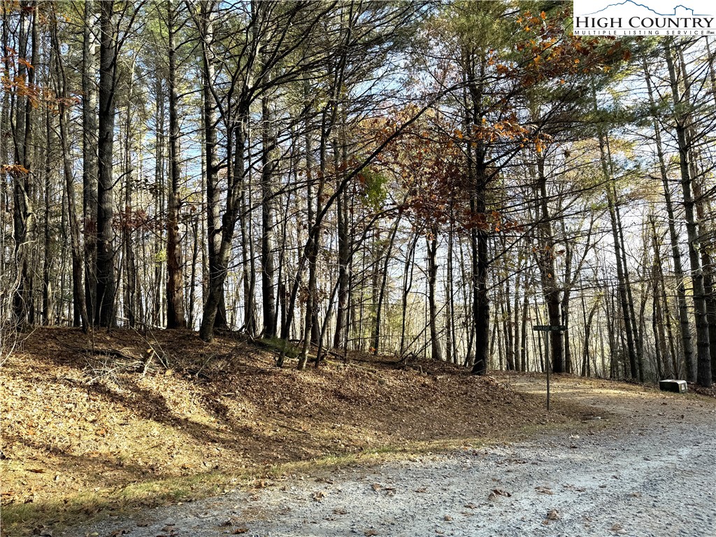 Jr Dairy Road Ennice, NC 28623 - Photo 5 of 22