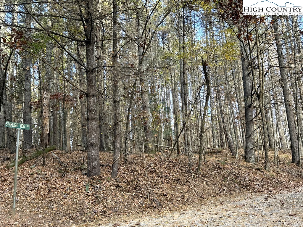 Jr Dairy Road Ennice, NC 28623 - Photo 7 of 22