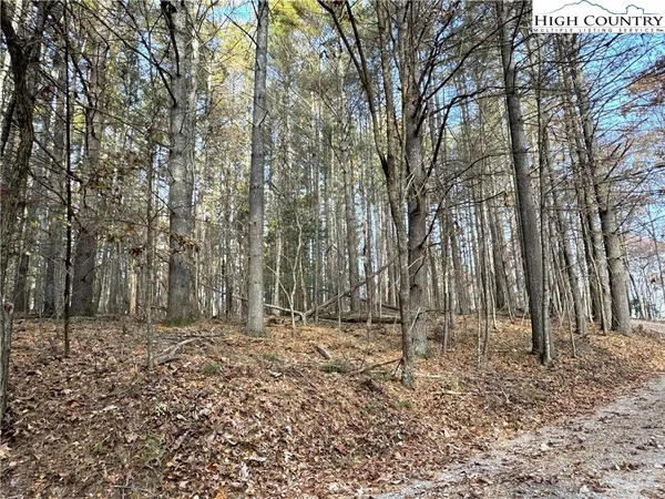 $69,000 | Jr Dairy Road, Ennice, NC 28623