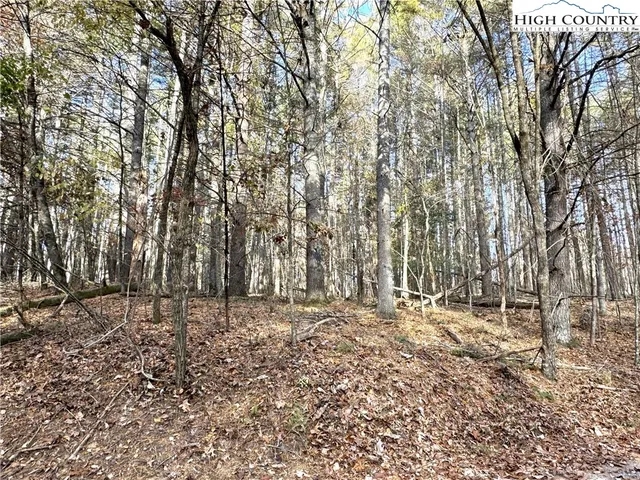$69,000 | Jr Dairy Road, Ennice, NC 28623