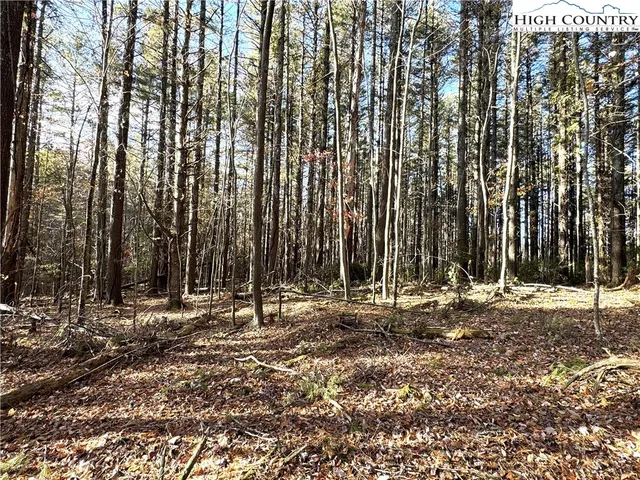 $69,000 | Jr Dairy Road, Ennice, NC 28623