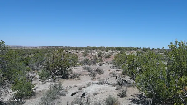 $65,000 | 8581 Justin Lane, Snowflake, AZ 85937