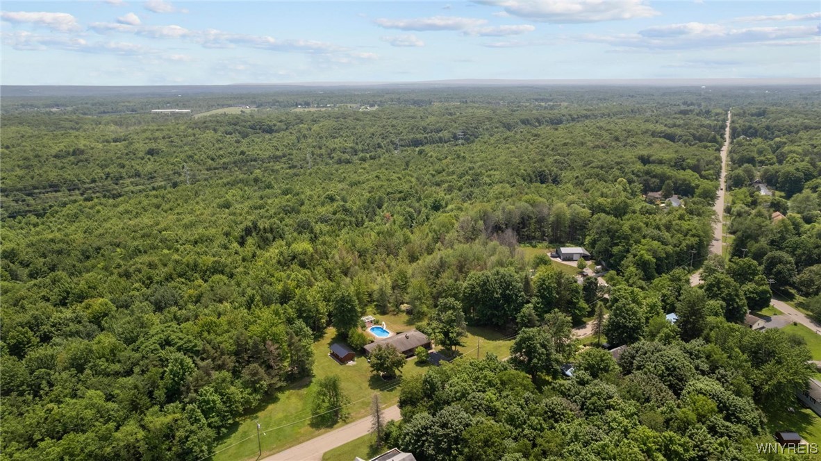 1575 Overhead Road Derby, NY 14047 - Photo 45 of 50