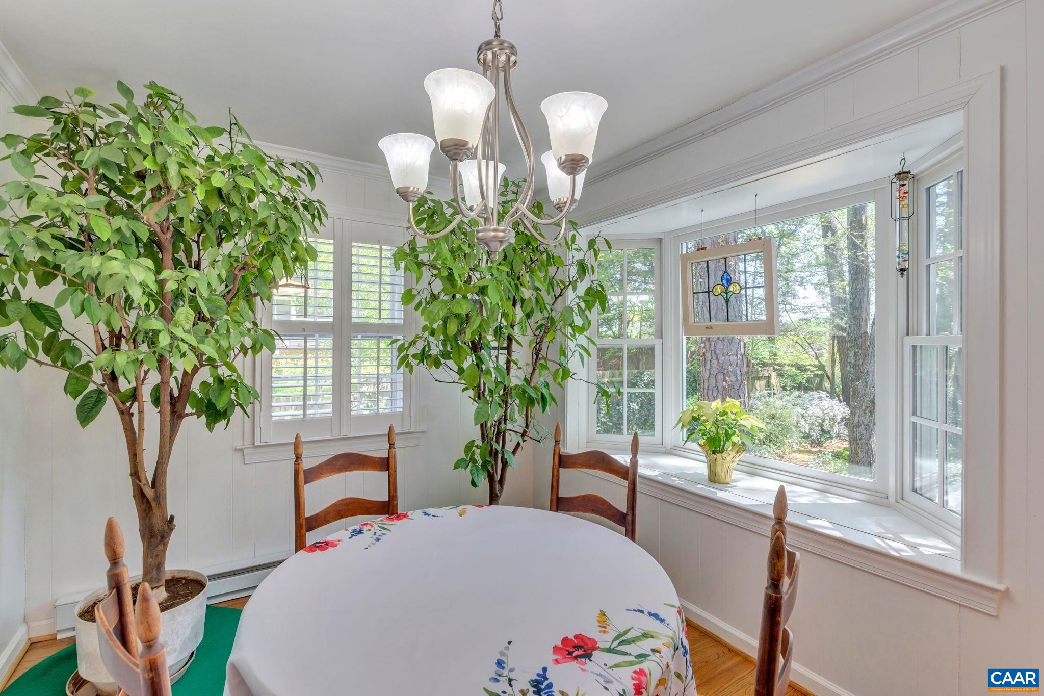 1440 Grove Road Charlottesville, VA 22901 - Photo 23 of 72 a living room filled with furniture and a potted plant