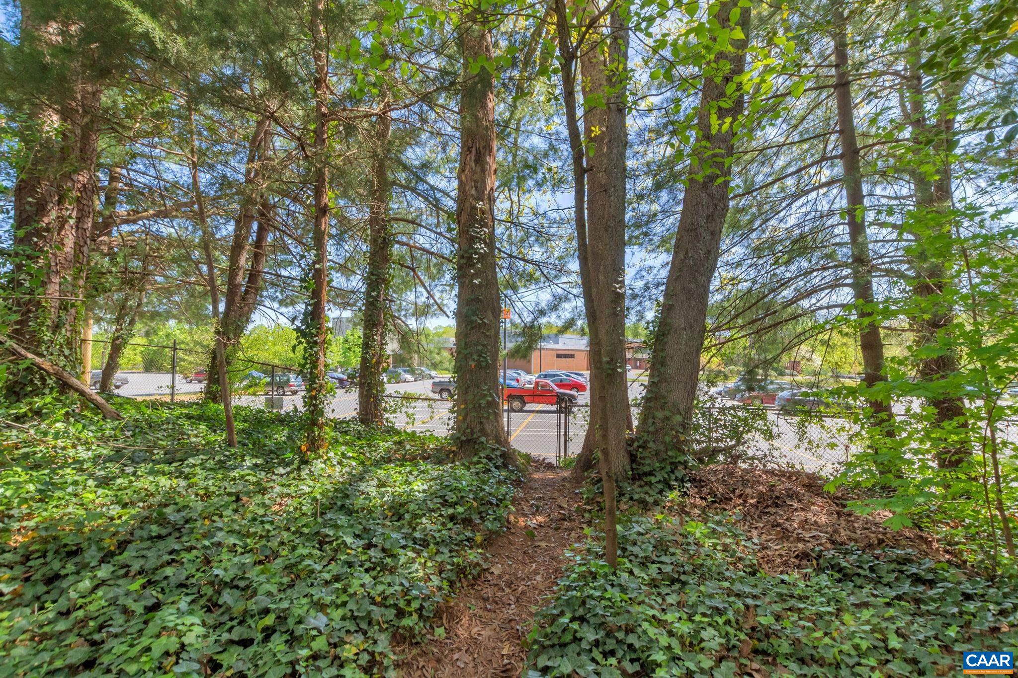1440 Grove Road Charlottesville, VA 22901 - Photo 56 of 72 a flag is sitting in the middle of a forest